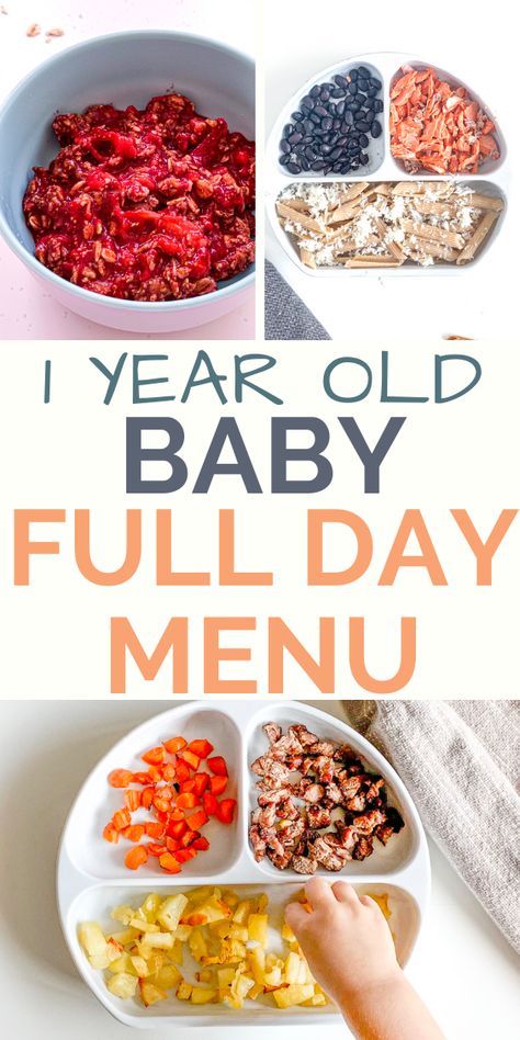 Easy, quick, nutritionist created homemade baby food recipes for an 12 month old baby. #babyrecipes #babyfood #1yearold 12 Month Old Schedule Food, 12 Month Old Food Recipes, One Year Old Food Recipes, 13 Month Food Ideas, Infant Meals 10 Months, Food 12 Month Old, Foods For 12 Month Old Baby, 12 Month Recipes, Food For A 12 Month Old