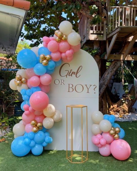 What will it be? 🙈 Classic Gender Reveal decoration 🩷🩵 #balloongarland #birthdaypartyballoon #miamibirthdayparty #southflbirthdayparty #southflorida #birthdaycake #birthdaygirl #birthdayboy #genderrevealdecor #babyshower #babyshowerballoons #babyshowerdecorations #graduationparty #birthdaypartyballoondecor #birthdayideas #marqueenumber #southfloridaballoons #livelyevents #balloonsmallbusiness #balloonarrangement #babyboy #babygirl Pink And Blue Gender Reveal Decorations, Park Gender Reveal Party, Park Gender Reveal, Baby Gender Reveal Party Decorations, Stitch Cake, Gender Reveal Party Theme, Gender Reveal Balloons, Gender Reveal Party Decorations, Gender Reveal Decorations