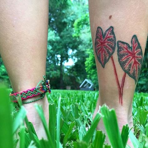 Elephant Ear Tattoo, Elephant Ears Plants Tattoo, Caladium Tattoo, Heart Leaf Philodendron Tattoo, Florida Sweetheart Caladium, Caladium Florida Sweetheart, Elephant Ears, Tattoo Feminina, Ear Tattoo