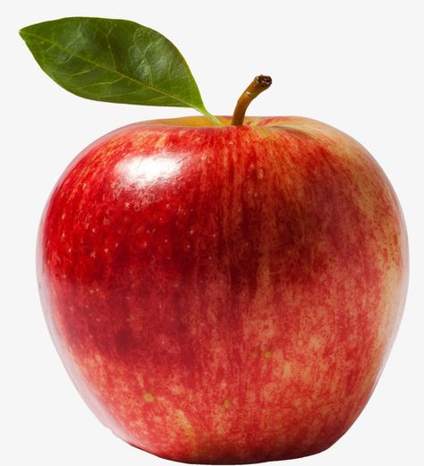 Apple Clipart, Apple Images, Apple Picture, Keto Fruit, Fruits Photos, Low Carb Fruit, Gala Apples, Fruit Picture, Apple Health