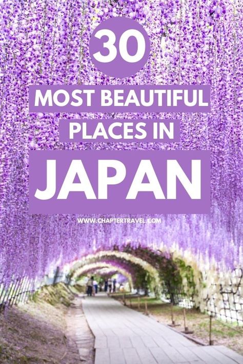 30 Most Beautiful Places in Japan that you should include in your itinerary Japan Honeymoon, Beautiful Places In Japan, Japan Travel Destinations, Japan Bucket List, Places In Japan, Things To Do In Japan, Travel To Japan, Japan 2023, Tokyo Japan Travel