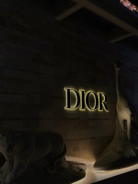 Doir Aesthetic, Luvdark Aesthetic, Dior Aesthetic Dark, Dior Dark Aesthetic, City Nights Aesthetic, Classy Dark Aesthetic, Dior Core, Fashion Brand Aesthetic, Christian Dior Aesthetic