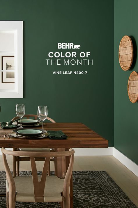 Get grounded with Vine Leaf, our December Color of the Month, a tranquil hue that pairs perfectly with natural accents. Vine Leaf Paint Color, Behr Vine Leaf Accent Wall, Green Paint Basement, Behr Vine Leaf Paint, Behr Vine Leaf, Interior Green Paint Colors, Green Behr Paint Colors, Kitchen Accent Wall Color, Foyer Door