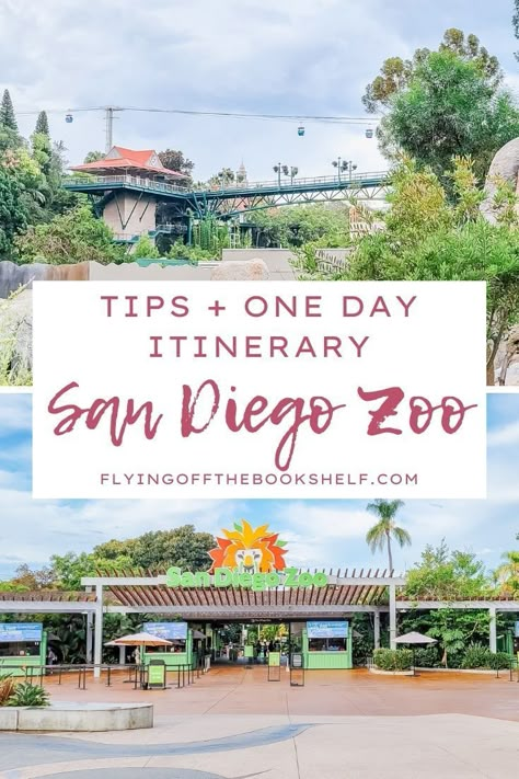 San Diego Outfits Summer Vacation, Summer San Diego Outfits, San Diego Zoo Tips, San Diego Vacation Outfits, Outfit For Zoo Trip, Legoland Surprise, Outfits For San Diego, San Diego Zoo Outfit, San Diego Things To Do In