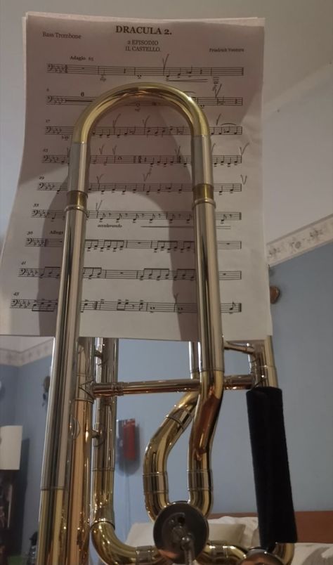 Aesthetic Trombone, Euphonium Aesthetic, Music Major Aesthetic, Trombone Aesthetic, Marching Band Aesthetic, Major Aesthetic, Trombone Music, Music Major, Concert Black