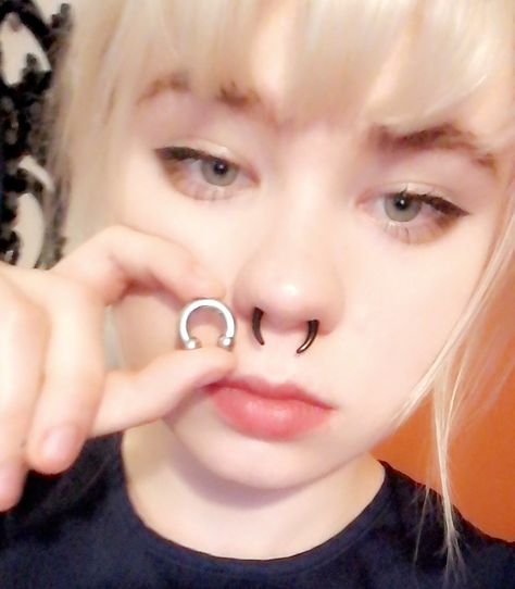 Sharp Septum Piercing, Stretched Septum Pincher, Thick Septum Piercing, 16g Septum Piercing, Stretched Septum 10g, Septum Piercing Stretched, 2023 Piercings, Stretched Septum Piercing, 8g Septum