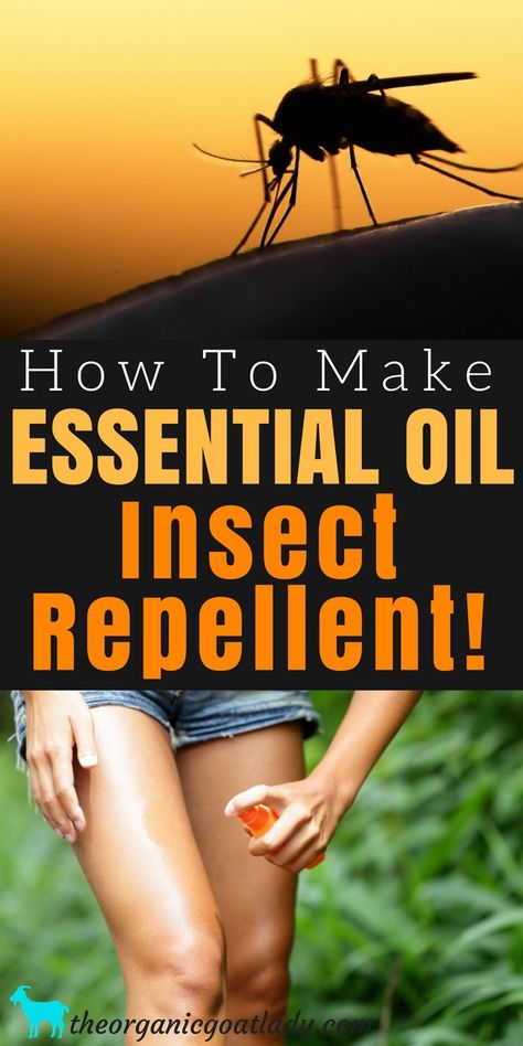 Make Your Own Essential Oil Mosquito Repellent! - The Organic Goat Lady Anti Mosquito Essential Oil, Home Made Mosquito Repellent, Organic Mosquito Repellent, Essential Oils For Mosquitoes, Essential Oil Mosquito Repellent, Mosquitoes Repellent, Mosquito Repellent Essential Oils, Insect Repellent Essential Oils, Healing Salve Recipe