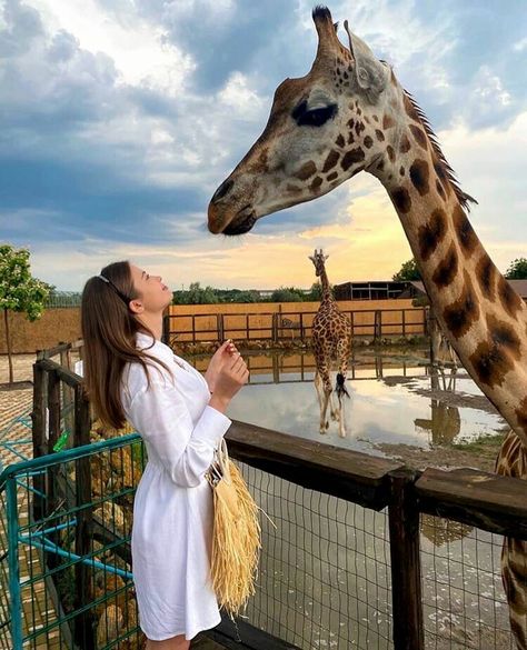 Zoo Aesthetic, Zoo Date, Zoo Outfit, Zoo Pictures, Thailand Pictures, Giraffe Pictures, Zoo Photos, Friendship Photoshoot, Environmental Conservation