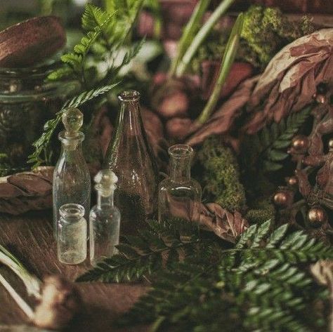 Magic Nature Aesthetic, D D Aesthetic, Moon Druid Aesthetic, Irish Folklore Aesthetic, Plant Aesthetic Dark, Swampcore Aesthetic, Plant Witch Aesthetic, Nature Magic Aesthetic, Earth Core Aesthetic