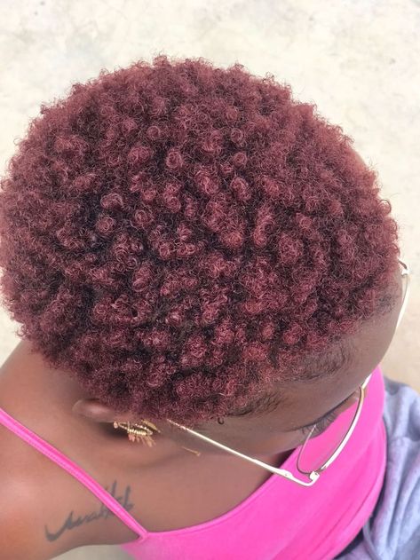 Short Red Natural Hair, Short Twa Hairstyles 4c Hair Color, Dyed Short Natural Hair Black Women, Dye Colours For Dark Skin Short Hair, Short 4c Hair Dyed, Hair Dye Ideas For Dark Skin, Dyed Natural Hair For Black Women Dark Skin, Dyed 4c Natural Hair, Dyed Natural Hair Dark Skin