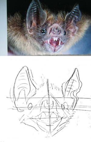 Bats Drawing, Head Drawing Tutorial, Bat Anatomy, Bat Sketch, Bat Art, Head Drawing, Drawing Lesson, Arte Van Gogh, Cute Bat