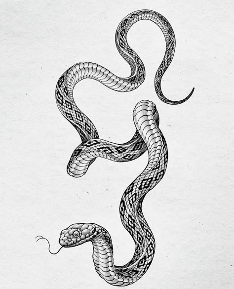 Cobra Tattoo, 16 Tattoo, Snake Illustration, Tattoo Dotwork, Snake Drawing, Back Piece Tattoo, Tattoo Background, Snake Tattoo Design, Mom Tattoo