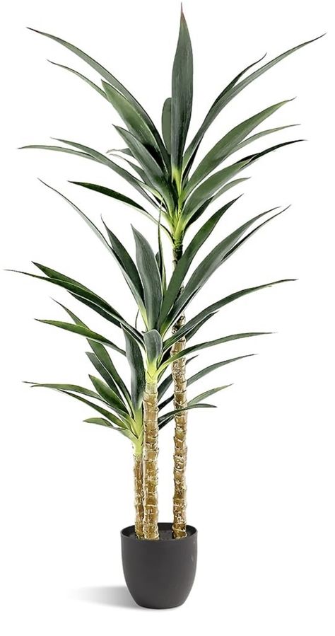 Plants Indoor Decor, Laie Hawaii, Yucca Tree, Room Concept, Fake Plants Decor, Fake Trees, Tropical Home, Agave Plant, Outdoor Office