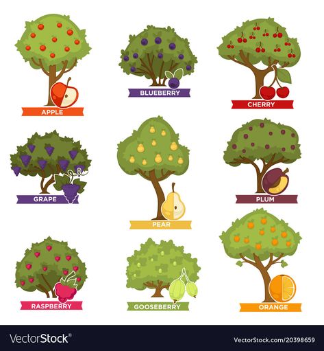 Fruits With Names, Fruit Tree Illustration, Blueberry Tree, Fruits Vector, Food Doodle, Orange Vector, Fruit Bearing Trees, Orchard Tree, Cherry Apple