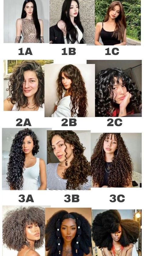 3a Hair, Hair Curl, Curly Hair Care Routine, Hairstyle Names, Curly Haircuts, Wallpaper White, Hairdos For Curly Hair, Types Of Curls, Permed Hairstyles