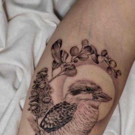 Heize on Instagram: "with a Kookaburra🌿 Thanks @ssnezz - - - - - - - - - - #sydneytattoo #sydneytattooartist #sydneytattoos #sydney #시드니 #시드니타투 #sydneybeauty #sydneyartist #sydneyartist #kookaburra #gumnuts #kookaburratattoo #australiatattoo #australianflora #australianflowers #flowertattoo #love #bestoftheday #forearmtattoo #tattooart #inkedgirls #tattooed Done at @kayagardentattoo 🌱" Kookaburra Tattoo Fine Line, Australian Bird Tattoos For Women, Australian Animal Tattoo, Bottom Tattoo, Australian Native Bee Tattoo, Kookaburra Tattoo, Australian Bouquet, Australian Flora And Fauna Tattoo, Sydney Tattoo