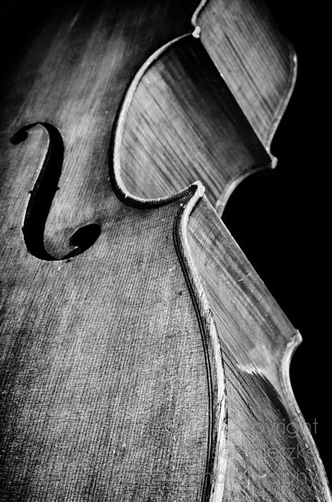 Cello Art, Violin Photography, Violin Art, Trendy Photography, Perspective Photography, Organic Art, Monochrome Photography, Black White Photos, Bw Photo