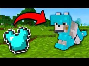 8 SECRET Things You Can Make in Minecraft! (Pocket Edition, PS4/3, Xbox, Switch, PC) - YouTube Wolf Armor, Dog Armor, Minecraft Wolf, Minecraft Houses Xbox, Minecraft Secrets, Minecraft Dogs, Modern Minecraft, Modern Minecraft Houses, Minecraft Cheats