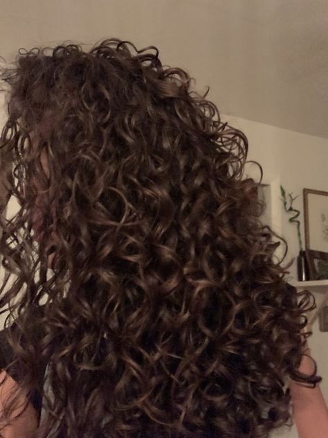 Perfect Curls Natural, Brown Hair Curly Natural, Vision Board Curly Hair, Curly Hair Vision Board, Good Hair Aesthetic, Long 3a Curly Hair, Curly Hair Back View, Chocolate Brown Hair Curly, Long Curly Hair Aesthetic