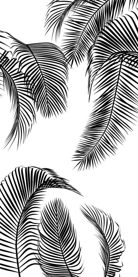 Palm Leaf Drawing, Tropisches Tattoo, Palm Tree Wallpaper, Iphone Drawing, Palm Tree Drawing, Tree Wallpaper Iphone, Palm Trees Wallpaper, Palm Leaf Wallpaper, Leaf Photography