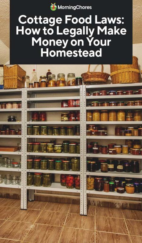 Home Steading Ideas, Homestead Market, Canning Room, Farm Store Ideas, Homesteading Books, Homestead Pantry, Commercial Kitchen Appliances, Farm Stand Ideas, Cottage Food