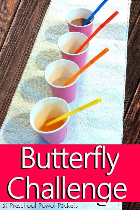 Such a fun way to learn about butterflies!! A butterfly food challenge!! Awesome science sensory lesson for preschool and kindergarten/elementary aged kiddos! Butterfly Science Activities, Preschool Butterfly Theme, Butterfly Activities, Butterfly Lessons, Insect Study, Butterfly Food, Insects Preschool, Butterflies Activities, Bugs Preschool