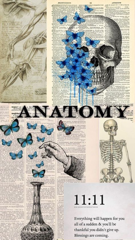 For those who want a cute cover for their binders for anatomy class 🫀 Cute Cover, Binder Covers, Anatomy And Physiology, Binders, Anatomy, Wallpapers