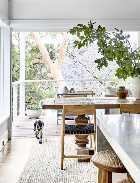 A blissfully beachy family abode in Sydney Deco Surf, Chris Botti, French Oak Flooring, Mcm House, White Marble Tiles, Glass Pool, Surf Vintage, Modern Rustic Homes, Wood Room