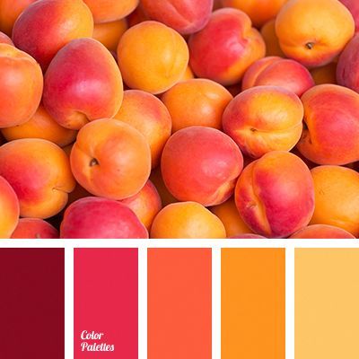 Analogue Color Scheme, Mango Color Palette, Yellow Pink Color Palette, Orange Color Palettes, Color Palette Yellow, Colour Pallets, Color Schemes Colour Palettes, Color Pallete, Fall Color Palette