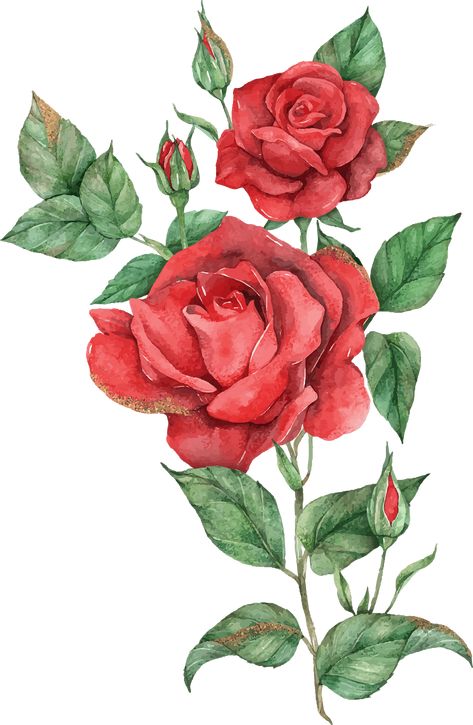 Rose Flower Digital Art, Flowers Rose Drawing, Rose Flower Art Drawing, Illustration Flower Art, Rose Plant Drawing, Flowers Drawing Realistic, 3 Roses Drawing, Rose Flower Drawing Design, Rose Leaves Drawing