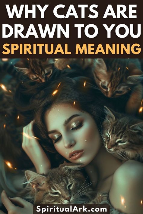 at the top of this post is the title that says, "why cats are drawn to you, spiritual meaning", at the center of this post is a photo of a beautiful woman surrounded by cute cats, and at the bottom of this post is the website source which is "SpiritualArk.com" Cats Spiritual, Meaning Of Animals, Mystical Quotes, Cat Symbolism, Magic Staff, The Otherworld, Cat Spirit, Traditional Halloween, Mean Cat