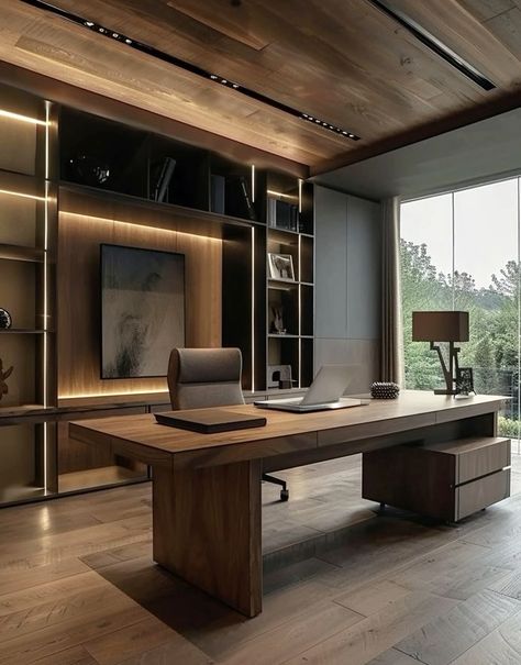 Elegant Office Desk, Ceo Office Design Luxury, Office Showcase, Modern Office Design Inspiration, Ceo Office Design, Color In Interior Design, Executive Office Design, Small Office Design Interior, Luxury Office Furniture