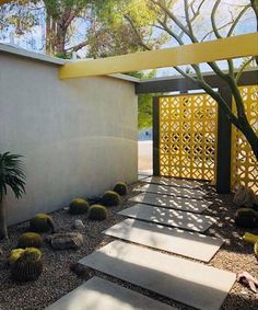 Mid Century Desert Landscaping, Mid Century Modern Outdoor Patio, Mid Century Garden Landscaping, Mid Century Yard, Palm Springs Landscape, Palm Springs Garden, Mid Century Landscaping, Mid Century Garden, Mid Century Palm Springs