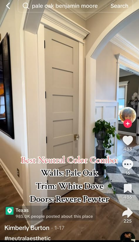 Cream Colored Interior Doors, Modern Farmhouse Wall And Trim Colors, Beige Interior Walls, Door Different Color Each Side, Greige Front Door Colors, Doors Painted Different Than Trim, White House Brown Door, Interior Door Paint Colors Ideas, Door Color Ideas Interior