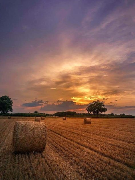 Sunset Landscape Photography, Country Sunset, Country Backgrounds, Country Photography, Corn Field, Field Landscape, Western Photography, Farm Photography, Farm Lifestyle