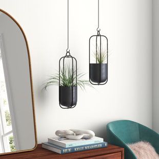 Hanging Air Plants Display, Hanging Indoor Plants Decor, Plastic Hanging Planters, Indoor Hanging Plants, Metal Wall Planters, Metal Hanging Planters, Railing Planters, Hanging Planters Indoor, Hanging Plant Wall