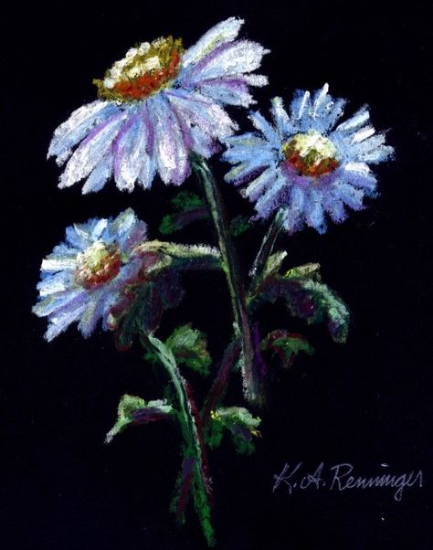 Pan Pastels Art, Daisy Drawing, Oil Pastel Drawings Easy, Black Pastel, Pan Pastels, Pastels Art, Oil Pastel Colours, Soft Pastels Drawing, Soft Pastel Art