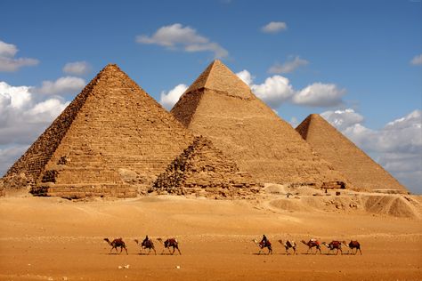 #8k #pyramid #camel #Egypt #8K #wallpaper #hdwallpaper #desktop Giza Plateau, Pyramids Egypt, Istoria Artei, Karnak Temple, Great Pyramid Of Giza, Egypt Tours, Egyptian Pyramids, Visit Egypt, Valley Of The Kings