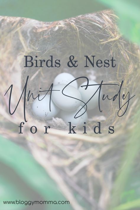 Birds And Their Nests, March Of The Penguins, What To Study, Weaving For Kids, 1st Grade Writing, Birds Nests, Bird Nests, Fun With Kids, Bald Eagles