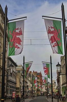 Welsh Heritage, Cardiff City Centre, Wales Cardiff, Wales Flag, Cardiff Bay, Welsh Rugby, Wales Travel, Cardiff Wales, Cardiff City