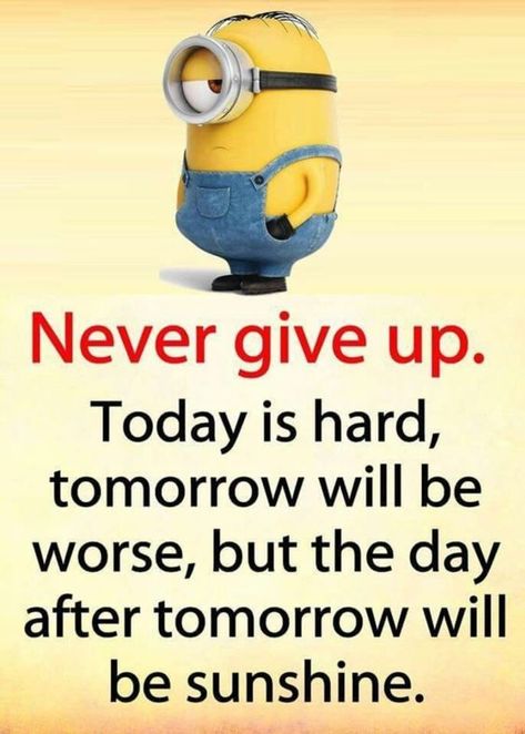 10 New Funny Minion Quotes For 2019 Minion Humour, Funny Minion Pictures, Funny Minion Memes, Minion Pictures, Minion Jokes, A Minion, Minion Quotes, Funny Minion Quotes, Funny Inspirational Quotes