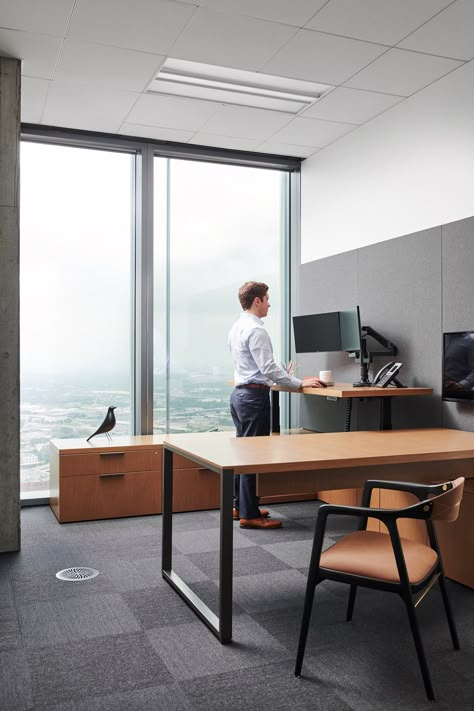 Private Office Interior, Lawyer Office Design, Private Office Design, Ceo Office Design, Office Standing Desk, Office Cabin Design, Small Office Design Interior, Cube Furniture, Office Design Interior