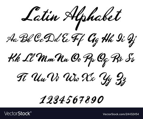 Font Latin, Latin Font, Tato Geisha, Tattoo Writing Fonts, Font Ideas Alphabet, Latin Letters, Latin Tattoo, Best Canva Fonts, Roman Alphabet