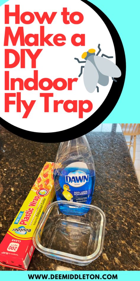 Catching Flies In House, Homemade Fly Killer, Diy House Fly Trap Indoor, Indoor Fly Trap, Home Fly Trap, Fly Catcher Diy Indoor, Diy Gnat Trap Indoor, Fly Traps Homemade Diy Indoor, How To Trap Flies In The House