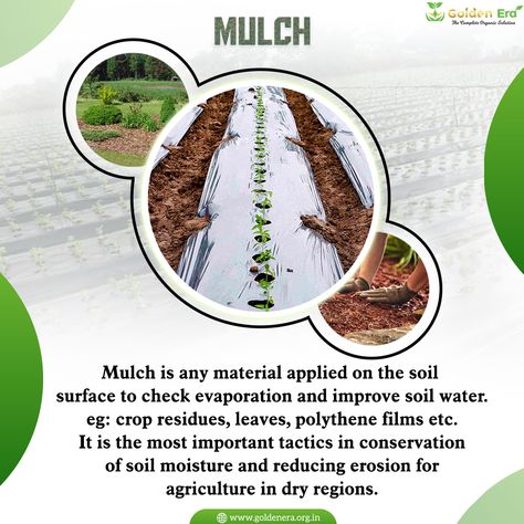 Mulch is any material applied on the soil surface to check evaporation and improve soil water. #mulch #landscaping #lawncare #landscape #gardening #lawnmaintenance #mulching #garden #grass #lawn #propertymaintenance #landscapedesign #lawnmowing Mulch Landscaping, Garden Grass, Landscape Gardening, Lawn Maintenance, Organic Living, Soil Improvement, Small Farm, The Soil, Mulch