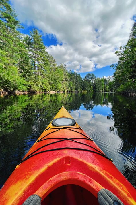 Eliza Core, Kayaking River, Swamp Dragon, Kayaking Aesthetic, Inspiration Vision Board, Vision 2024, 2025 Board, River Kayaking, Aesthetic Scenery