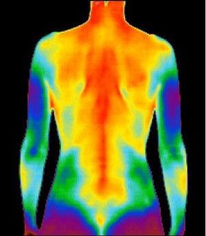 Referred Pain, Body Image Art, Human Organ, Heat Map, Body Map, No Contact, Medical Imaging, Body Scanning, Thermal Imaging