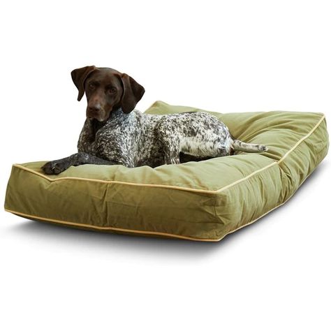 HAPPY HOUNDS Bailey Rectangle Pillow Dog Bed with Removable Cover, Moss, Medium - Chewy.com Big Dog Bed, Sewing Tattoos, Pillow Dog Bed, Diy Pet Bed, Medium Dog Bed, Donut Dog Bed, Style Bed, Dog Pillow Bed, Orthopedic Dog Bed