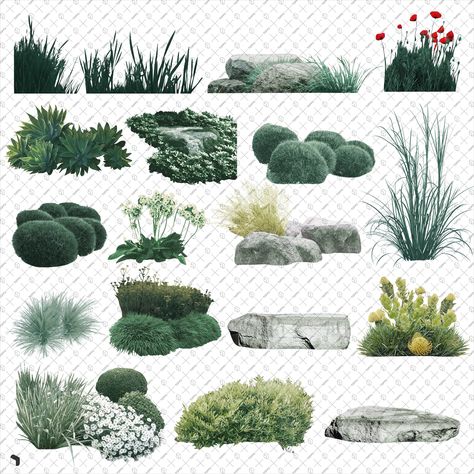 Landscape Architecture Plants, Landscape Diagram, Landscape Architecture Graphics, Frames Design Graphic, Tree Photoshop, Photoshop Rendering, Garden Grass, Interior Architecture Drawing, Tree Textures