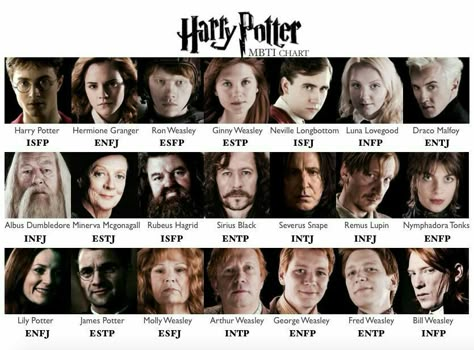 Harry Potter Mbti, Enneagram 6w7, Enfj Characters, Harry Potter Character Quiz, Harry Potter Key, Entp And Intj, Intj Characters, Mbti Charts, Classe Harry Potter